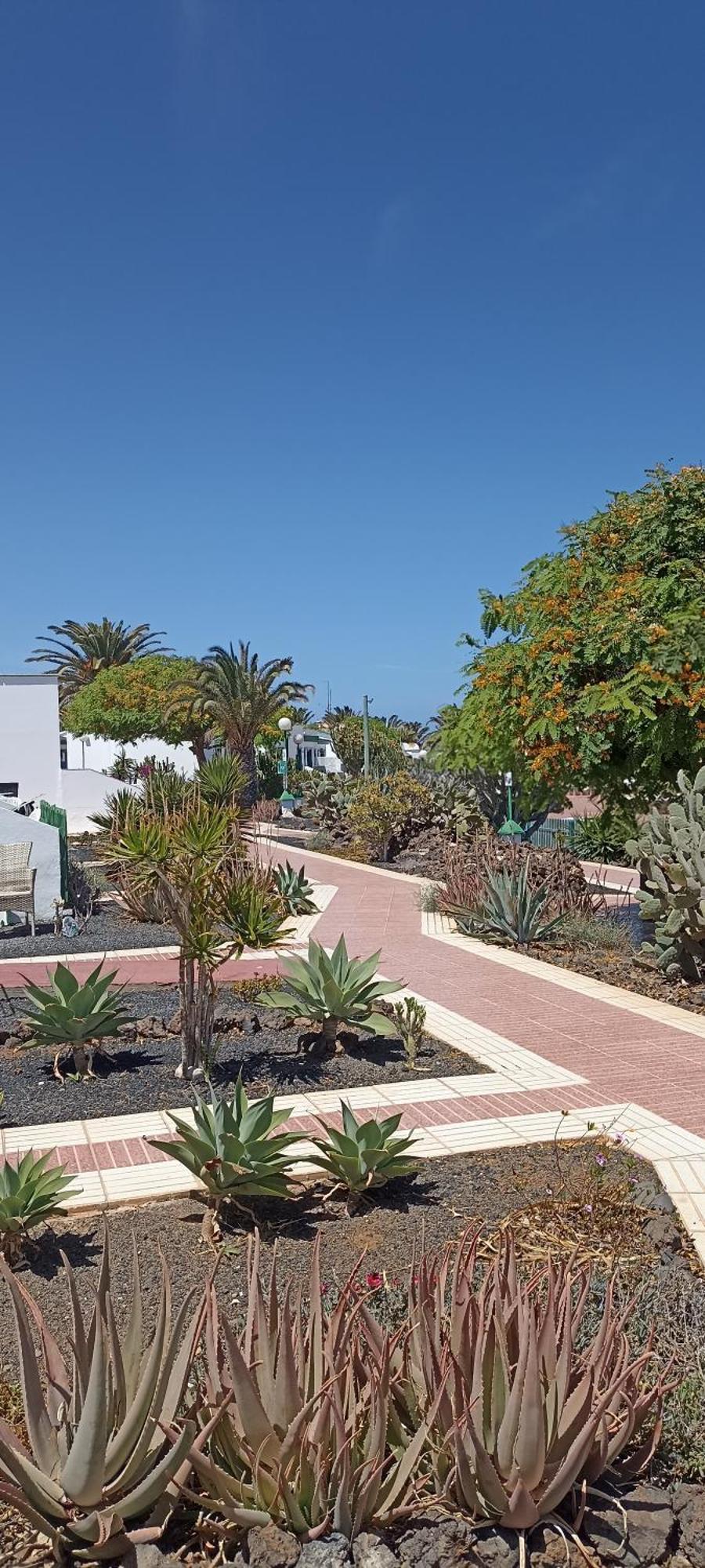 Casa Gioeli Cocosol Villa Costa De Antigua Eksteriør bilde