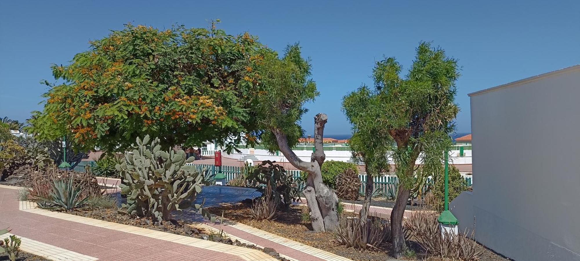 Casa Gioeli Cocosol Villa Costa De Antigua Eksteriør bilde